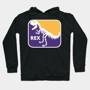 Fake NBA Logo TREX Hoodie